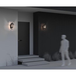 Светильник Albion 1х60Вт E27 IP44 бра настен. Maytoni O413WL-01BZ1