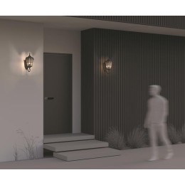 Светильник Albion 1х60Вт E27 IP44 бра настен. Maytoni O413WL-01BZ1