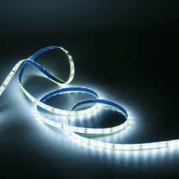 Лента светодиодная Basic 5050/60-SMD 10Вт/м 4000К нейтр. бел. IP65 700лм/м 12В 10мм (уп.5м) GAUSS BT