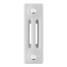 Радиатор дизайн Insignia C3030 14 секц. RAL9016 Royal Thermo НС-1631223