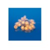 Гирлянда LED "Шишки" ULD-S0500-050/DTA WARM WHITE IP20 PINE CONES 5м 50 диодов тепл. бел. свет прово