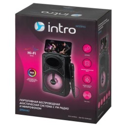 Колонка портативная BRW440 bluetooth беспроводная с микрофоном акустическая черн. Intro Б0057183