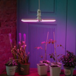 Лампа светодиодная LED-P65-16W/SPSB/E27/FR/P2 PLP32WH 16Вт P65 лепестковая матовая E27 для растений