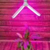 Лампа светодиодная LED-P65-16W/SPSB/E27/FR/P2 PLP32WH 16Вт P65 лепестковая матовая E27 для растений