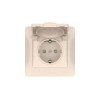 Розетка Glossa 16А IP20 с заземл. защ. шторки с крышкой быстрозажим. клем. в сборе беж. SE GSL000246