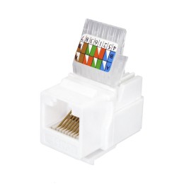 Модуль розеточный Keystone Jack 8P8C RJ-45 UTP кат.5E заделка без инструмента бел. (DIY) SUPRLAN 10-