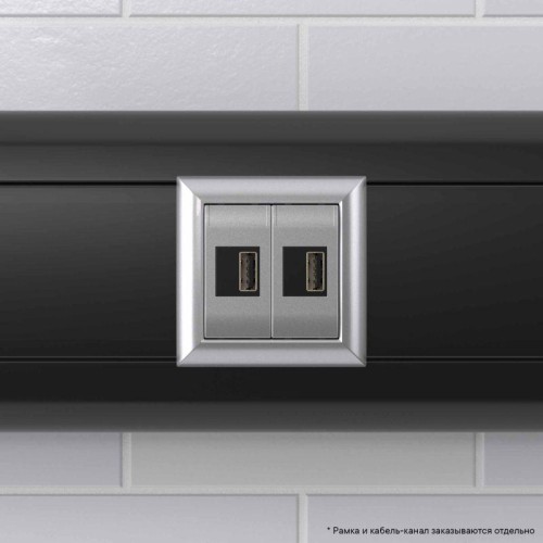 Устройство зарядное USB модульное 2мод. Avanti "Закаленная сталь" DKC 4404542