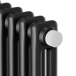 Радиатор дизайн Insignia VC2180 4 секц. RAL9005m Royal Thermo НС-1631203