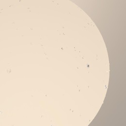 Светильник Bold 1х60Вт E27 IP54 бра настен. Maytoni O598WL-01B