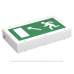 Указатель световой BS-FLAGMAN-83-S1-INEXI3-FELS Белый свет a17397