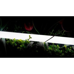 Лента светодиодная неоновая 2835 360град. LED/м 16 Вт/м 24В IP66 нейтр. бел. (уп.5м) SWG PRO 00-0001