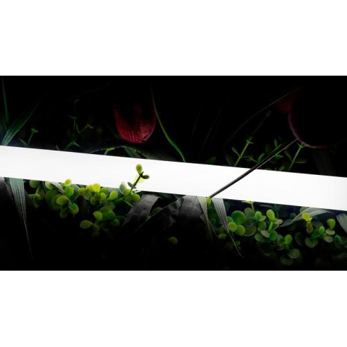 Лента светодиодная неоновая 2835 360град. LED/м 16 Вт/м 24В IP66 нейтр. бел. (уп.5м) SWG PRO 00-0001