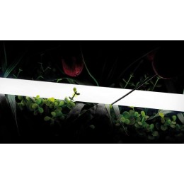 Лента светодиодная неоновая 2835 360град. LED/м 16 Вт/м 24В IP66 тепл. бел. (уп.5м) SWG PRO 00-00013