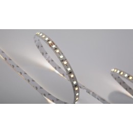 Лента светодиодная ПРО 2835 120LED/м 14.4Вт/м тепл. бел. + холод. бел. 24В IP20 (уп.5м) SWG PRO 00-0
