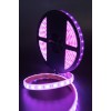 Лента светодиодная стандарт 5050 60LED/м 14.4Вт/м RGB 12В IP68 (уп.5м) SWG Standard 00-00001845
