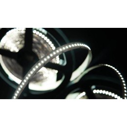 Лента светодиодная стандарт 3014 240 LED/м 24Вт/м 12В IP20 со скотчем 3М холод. бел. (уп.5м) SWG Sta