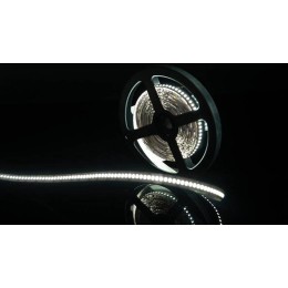 Лента светодиодная стандарт 3014 240 LED/м 24Вт/м 12В IP20 со скотчем 3М холод. бел. (уп.5м) SWG Sta