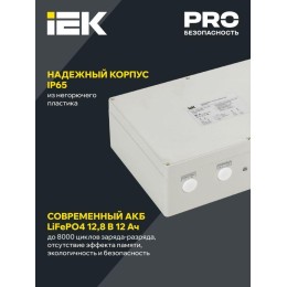 Блок аварийного питания БАП200-1.0 универс. для LED IP65 IEK LLVPOD-EPK-200-1H-U