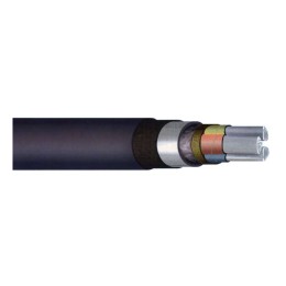 Кабель ААШнг-LS-1 4х120 ОЖ (м) Сарансккабель 802009791240801