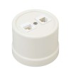 Розетка компьютерная 2-м ОП Лизетта RJ45 10А IP20 ретро кат.5E ABS-пластик сл. кость Bironi B1-302-2
