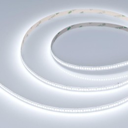 Лента светодиодная RT-A280-8mm 24V White 6000К 10Вт/м IP20 (уп.5м) Arlight 045568