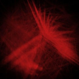 Проектор лазерный 5.4Вт 220В IP44 эффект "Северное сияние" с пультом ДУ Neon-Night 601-264