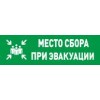 Оповещатель световой адресный С2000-ОСТ исп.14 "Место сбора" Болид 283598