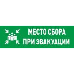 Оповещатель световой адресный С2000-ОСТ исп.14 "Место сбора" Болид 283598