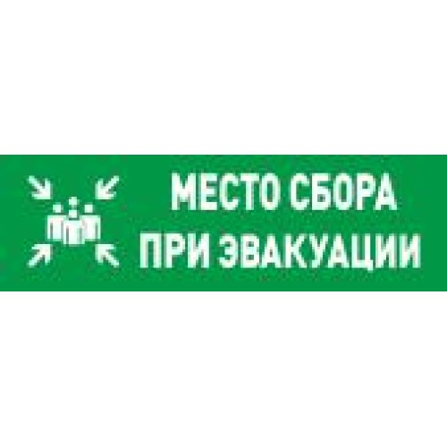 Оповещатель световой адресный С2000-ОСТ исп.14 "Место сбора" Болид 283598