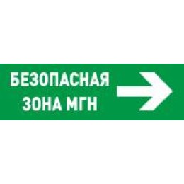 Оповещатель световой адресный С2000-ОСТ исп.15 "Безопасное место МГН" Болид 283599