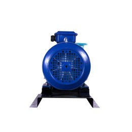 Насос 1К 20/30 с эл. дв. 4/3000 ESQ 02.01.000942