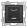 Розетка USB 2-м СП Ugra механизм графит GUSI С11USB2-010