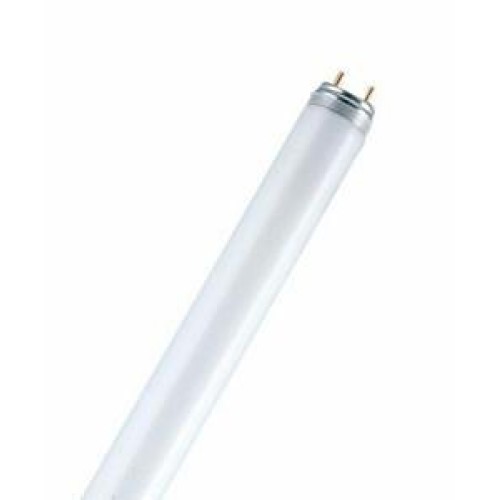 Лампа люминесцентная L 36W/66 36Вт T8 G13 зел. OSRAM 4050300024257
