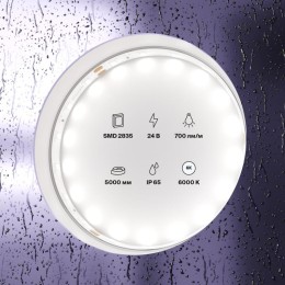 Лента светодиодная 24В 2835 7.2Вт/м 6000К IP65 (уп.5м) Maytoni 20018