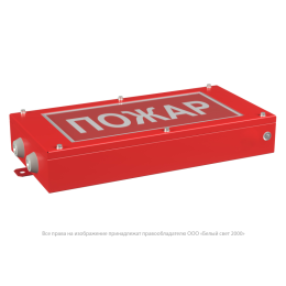 Указатель световой BS-CANRON-71-S1-INEXI2 автономный Белый свет a15569