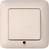 Выключатель 1-кл. СП Прима 6А IP20 с индикацией сл. кость (опт. упак.) SchE S16-053-S