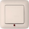 Выключатель 1-кл. СП Прима 6А IP20 с индикацией сл. кость (опт. упак.) SchE S16-053-S