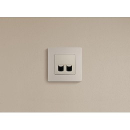 Розетка компьютерная 2-м СП Etika RJ45 кат.5E UTP механизм сл. кость Leg 672355