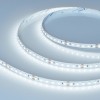 Arlight Лента NT-A120-8mm 24V Cool 8K (9.6 W/m, IP20, 3528, 5m) (Открытый)