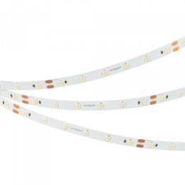 Arlight Лента NT-A60-8mm 24V Day5000 (4.8 W/m, IP20, 3528, 5m) (Открытый)
