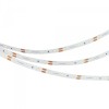 Arlight Лента NT-A60-8mm 12V Cool 8K (4.8 W/m, IP20, 3528, 5m) (Открытый)