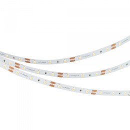 Arlight Лента NT-A60-8mm 12V Cool 8K (4.8 W/m, IP20, 3528, 5m) (Открытый)