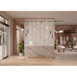 Лента светодиодная 24В 2835 19.2Вт/м 2700-6000К IP20 (уп.5м) Maytoni 201124