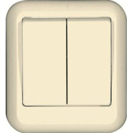 Выключатель 2-кл. ОП Прима 6А IP20 сл. кость (опт. упак.) SchE A56-029-S