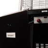 Камин уличный газовый инфракрасный Пирамида 13кВт Rexant 60-0023