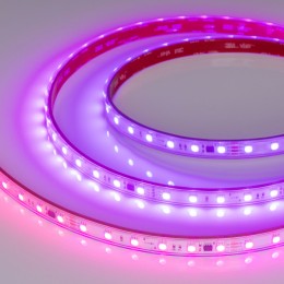 Arlight Лента герметичная SPI-PFS-B60-12mm 24V RGB-PX6-BPT (12 W/m, IP68, 5060, 5m) (бегущий огонь)