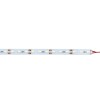 Набор светодиодных лент с жестким основанием ULS-L21X-5630-72LED/m-12mm-IP20-DC12V-19.2W/m-2х1M-DW н