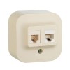 Розетка компьютерная + телефонная 2-м ОП 2мод. Quteo RJ45 + RJ11 кат.5E UTP IP20 сл. кость Leg 78225