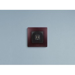 Розетка USB 2-м СП 2мод. Etika 240В/5В 2400мА механизм антрацит Leg 672694