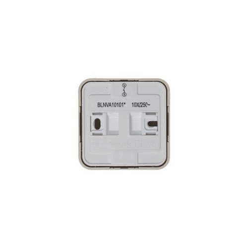 Выключатель 1-кл. ОП Blanca 10А IP20 (сх. 1) 250В с изолир. пластиной беж. SE BLNVA101017